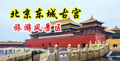 大jb操逼喷水视频中国北京-东城古宫旅游风景区